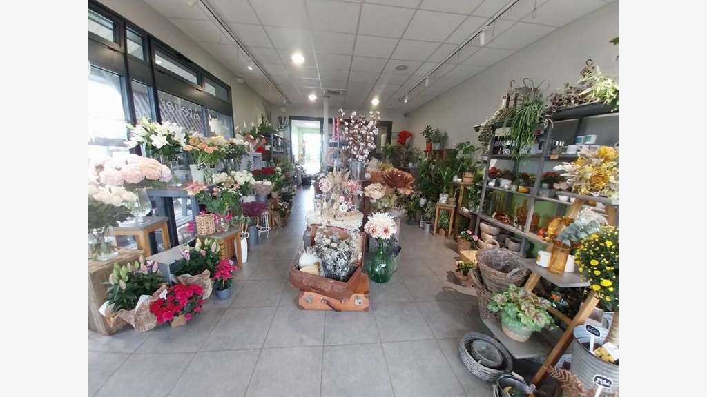 Reprise fleuriste plantes déco secteur Saintes