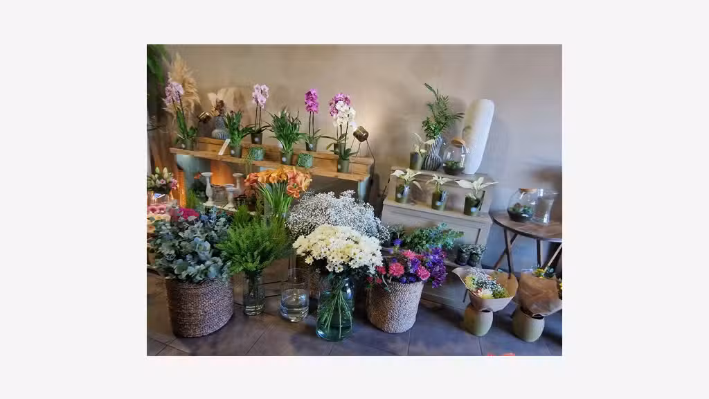 Vente fleuriste très bien implanté en sud Ardèche