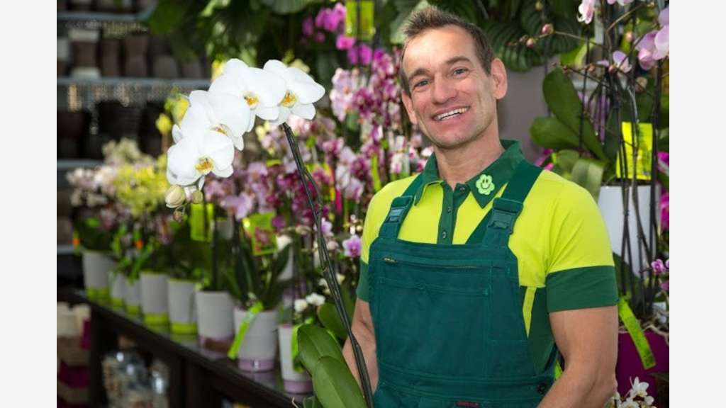 FDC fleurs à vendre proche de Toulouse