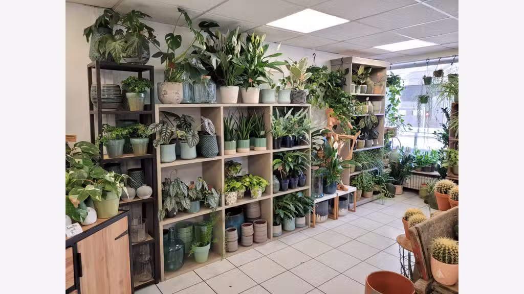 AV magasin de fleurs carrefour très fréquenté 69