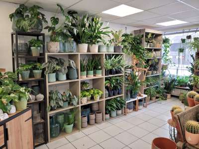 Vente Cadeaux - Fleurs à Villeurbanne