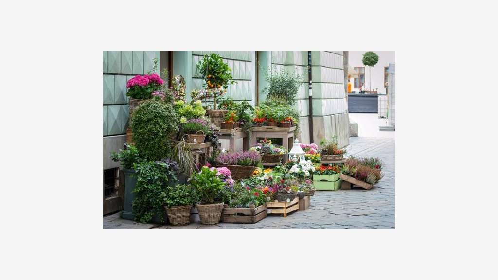 Vente magasin fleur zone Caen Nord - loyer 851€