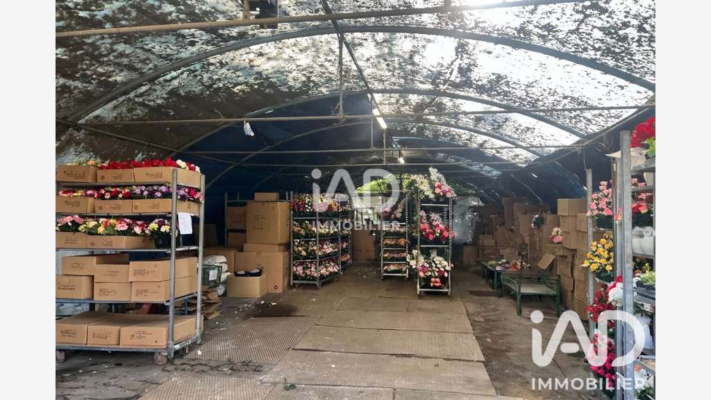 Vente FDC fleuriste renommé à Lille