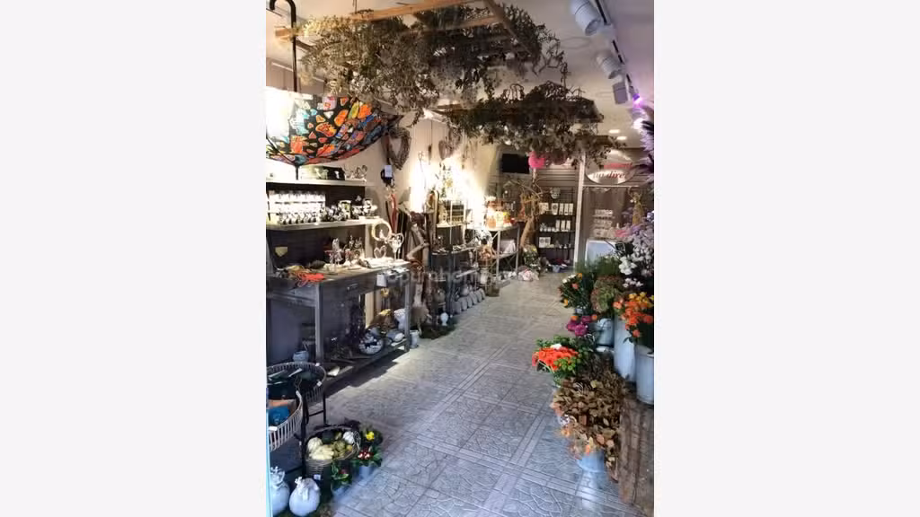 Vente FDC fleuriste et décoration côte de Nacre