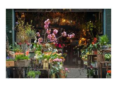 Vente Cadeaux - Fleurs à Paris 17e
