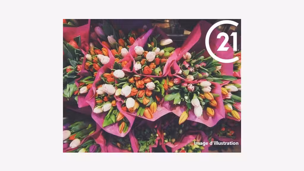 Vente commerce fleuriste secteur recherché 66