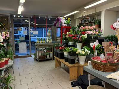 Vente Cadeaux - Fleurs à Rouen