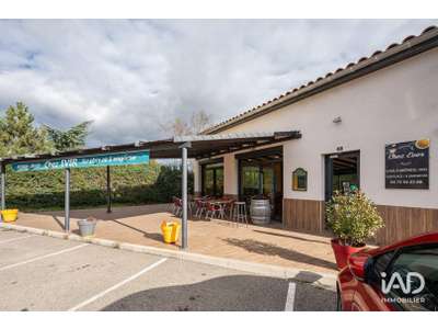 Vente Restauration rapide à Lavilledieu