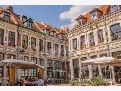 LILLE (59) - Glacier-Gaufres-Crêpes - Vieux-Lille 