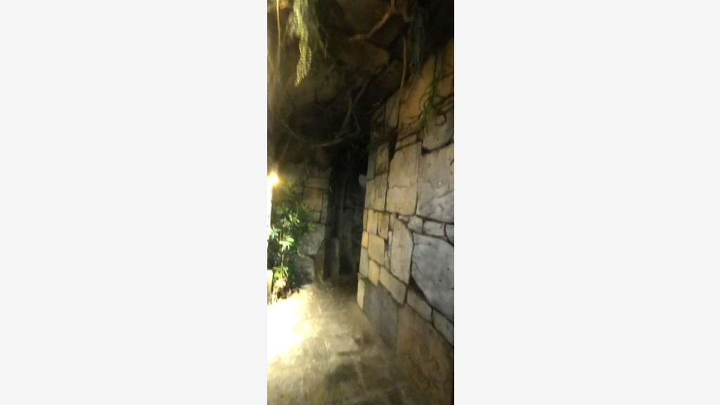 Vente fonds de commerce VAE Passage des Panoramas
