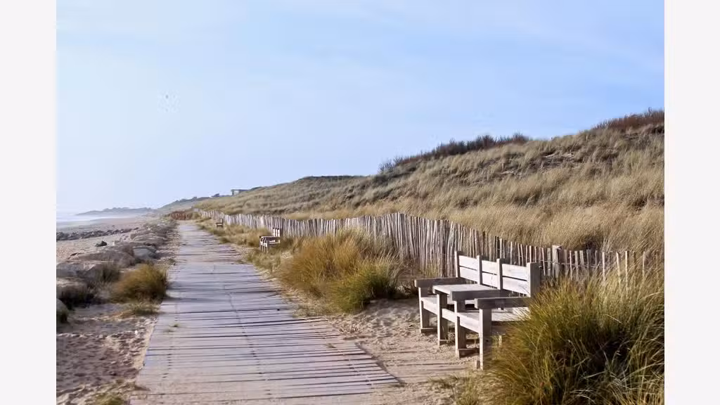 Vente crêperie/pizzeria prox plage sur l'Ile de Ré