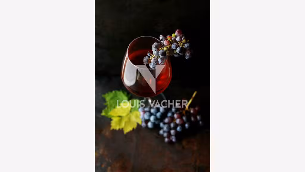Vente FDC cave à vins en centre-ville de Bordeaux