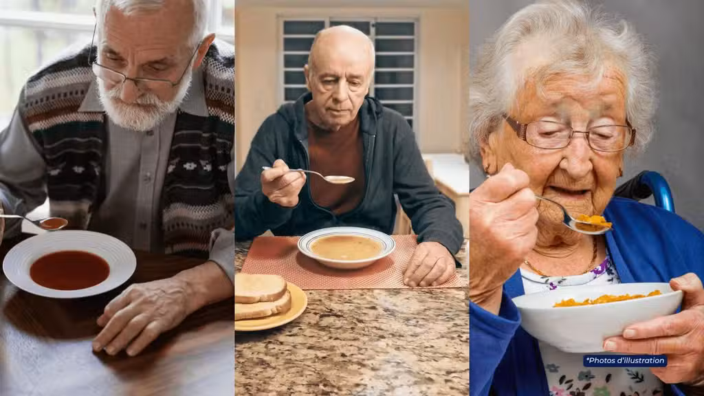 Entreprise franchisée livraison de repas séniors