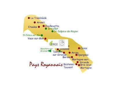 Vente Cadeaux - Fleurs à La Rochelle