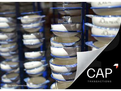 Vente Cadeaux - Fleurs à Dinan