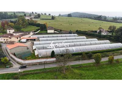 Vente Agriculture - Viticulture à Chamboeuf