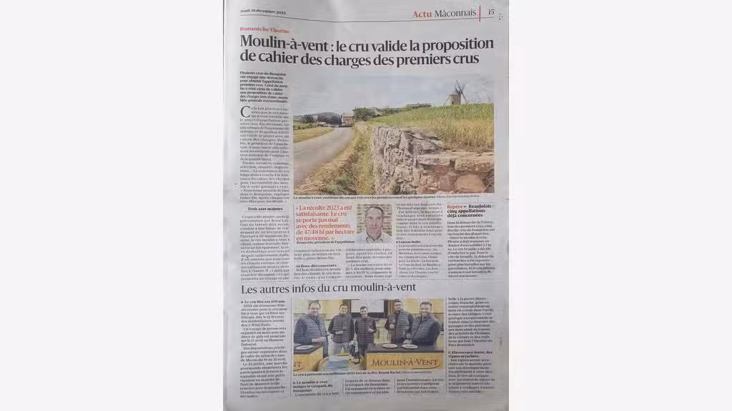 A vendre vignes AOC Moulin à Vent Saône et Loire