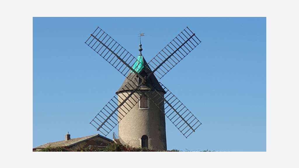 A vendre vignes AOC Moulin à Vent 3.5ha Bourgogne