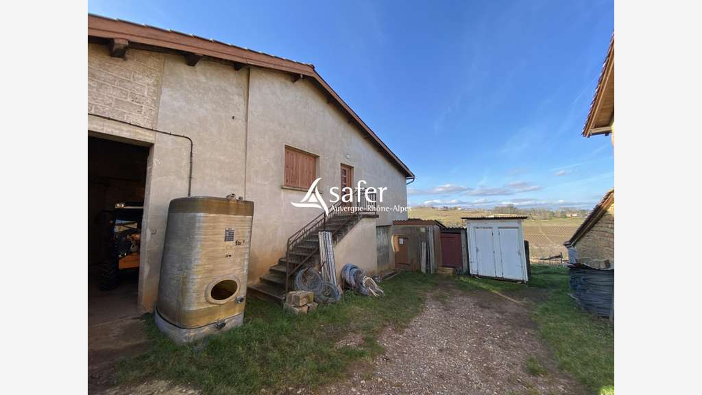 VIGNES ET CUVAGE – SECTEUR NORD-OUEST DE V