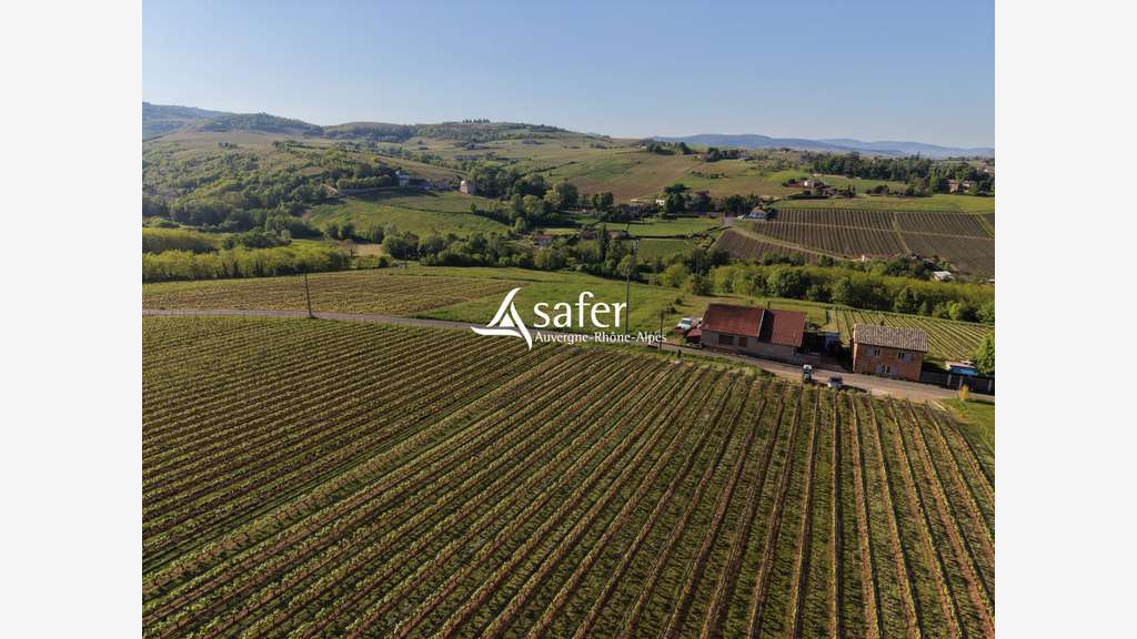 VIGNES ET CUVAGE – SECTEUR NORD-OUEST DE V