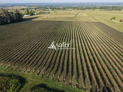 VIGNES ET CUVAGE – SECTEUR NORD-OUEST DE V