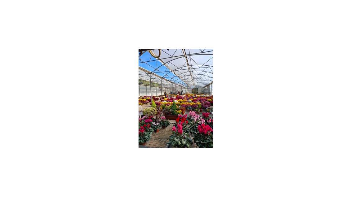 Vente FDC pépinière et horticulture à Crest