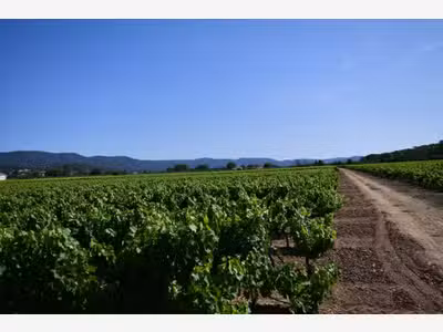 Vente domaine viticole 19ha AOP Côtes de Provence