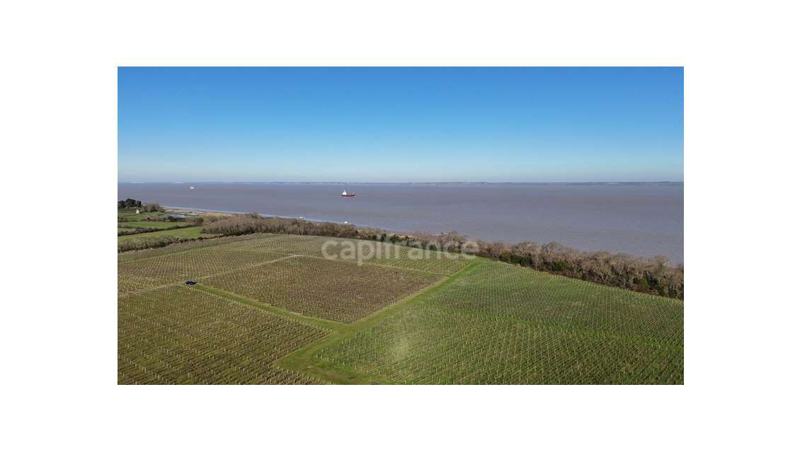 Vente société d'exploitation viticole médoc cru 33