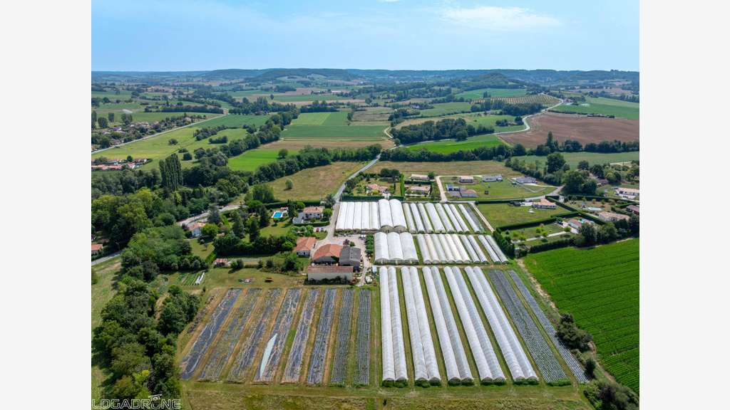 Vente charmante entreprise d'horticulture à Dausse