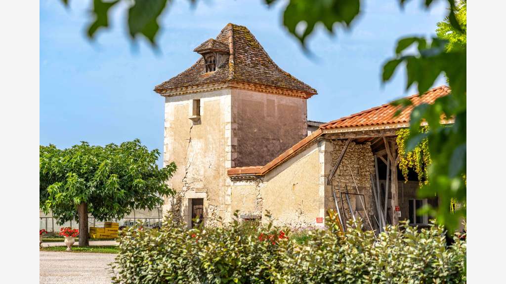 Vente charmante entreprise d'horticulture à Dausse