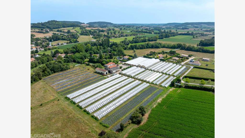 Vente charmante entreprise d'horticulture à Dausse