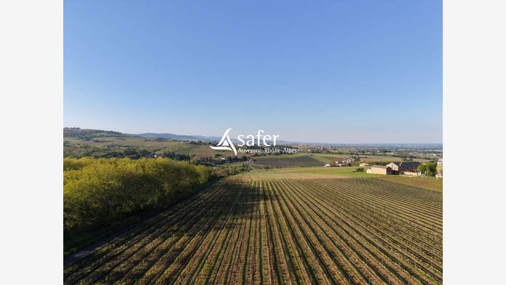 Vignes et cuvage secteur Nord-Ouest Villefranche