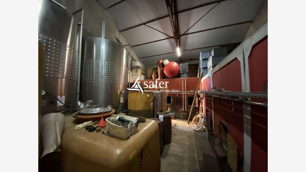 Vignes et cuvage secteur Nord-Ouest Villefranche