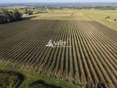 Vignes et cuvage secteur Nord-Ouest Villefranche