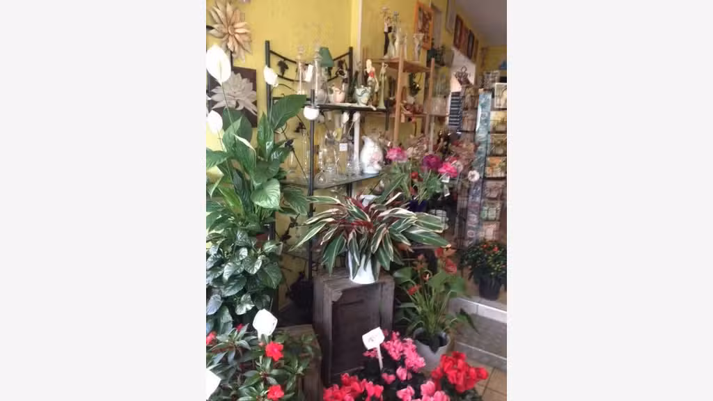 Vend FDC fleurs coeur bourg dynamique en expansion