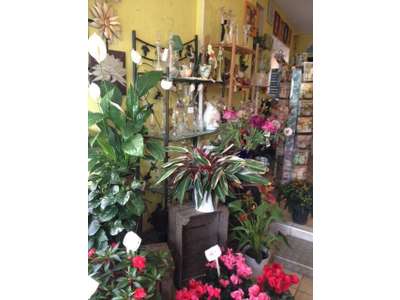 Vente Cadeaux - Fleurs à Valognes