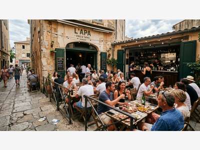 Vente bar à tapas terrasse licence IV à Ajaccio