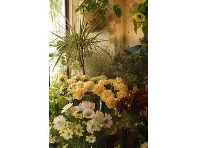 Vente Cadeaux - Fleurs à Paris 18e