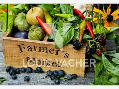 Vente FDC primeur clientèle fidèle à Bordeaux