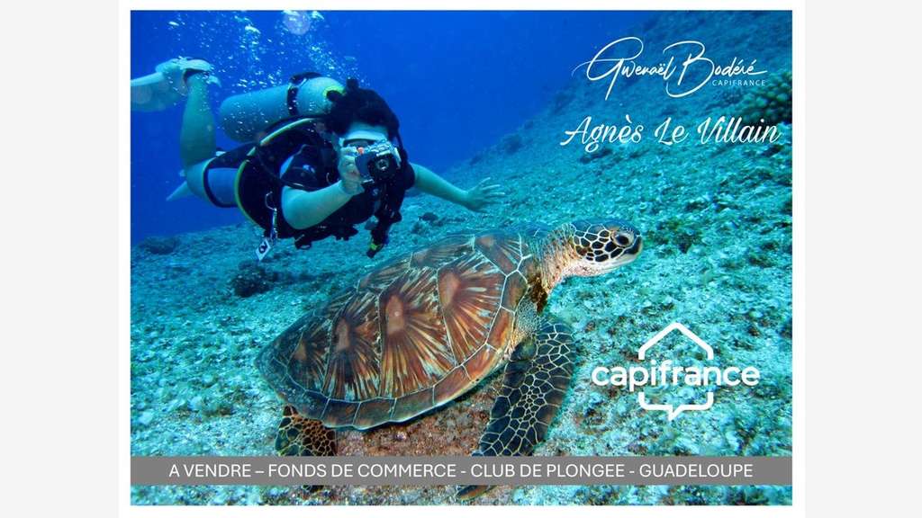 A vendre centre de plongée à Bouillante Guadeloupe