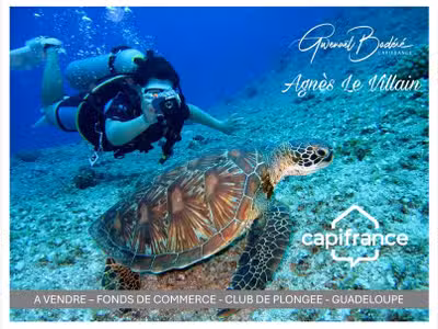 A vendre centre de plongée à Bouillante Guadeloupe