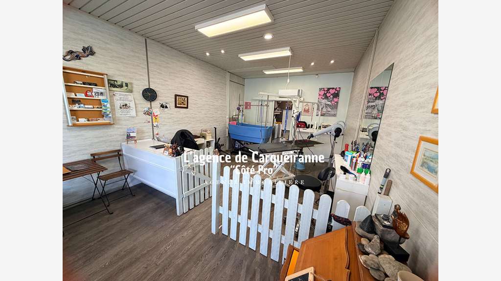A vendre FDC toilettage canins à Carqueiranne