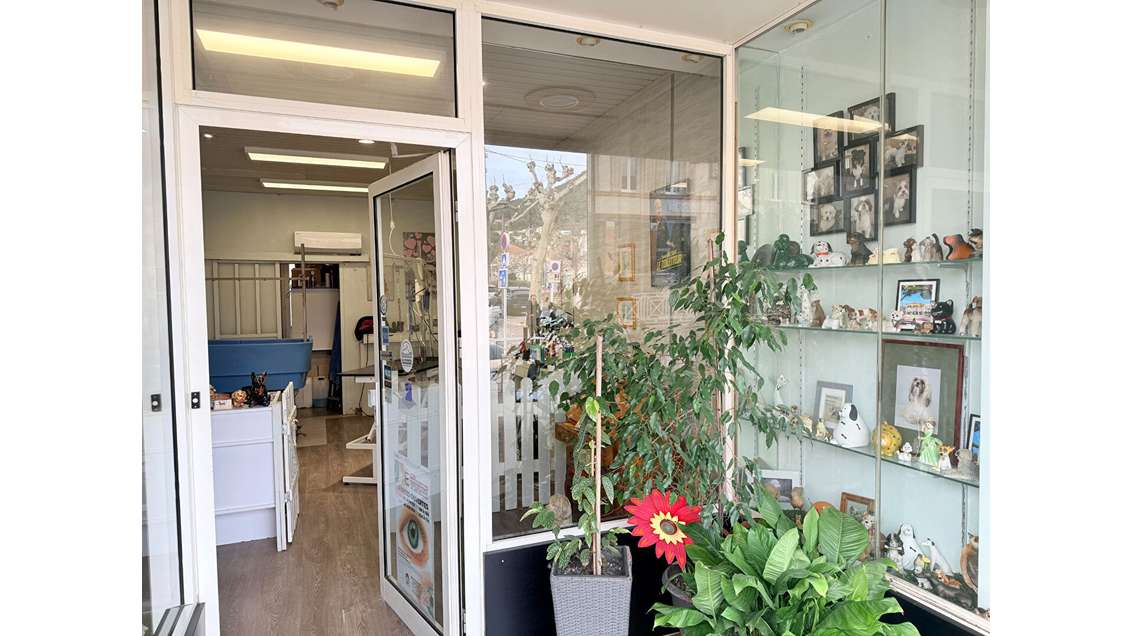 A vendre FDC toilettage canins à Carqueiranne