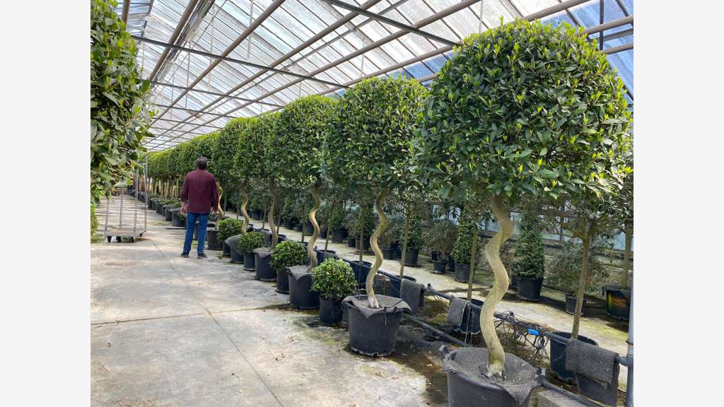 FDC LOCATION DE PLANTES
