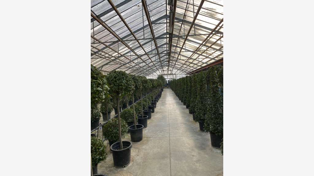 FDC LOCATION DE PLANTES