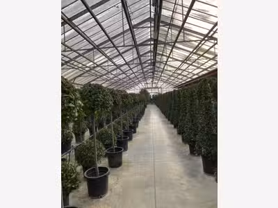 FDC LOCATION DE PLANTES