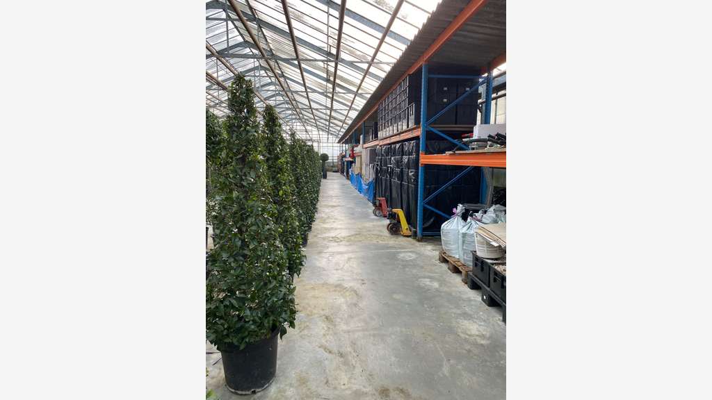 FDC LOCATION DE PLANTES