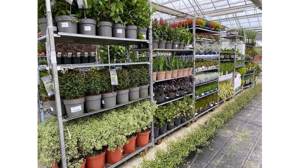 AV exploitation horticole et jardinerie de renom