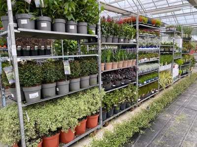 Vente Agriculture - Viticulture à Quarouble