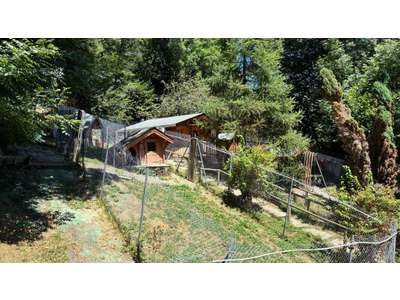 Vente Animalerie - Chasse - Pêche à Jarrier